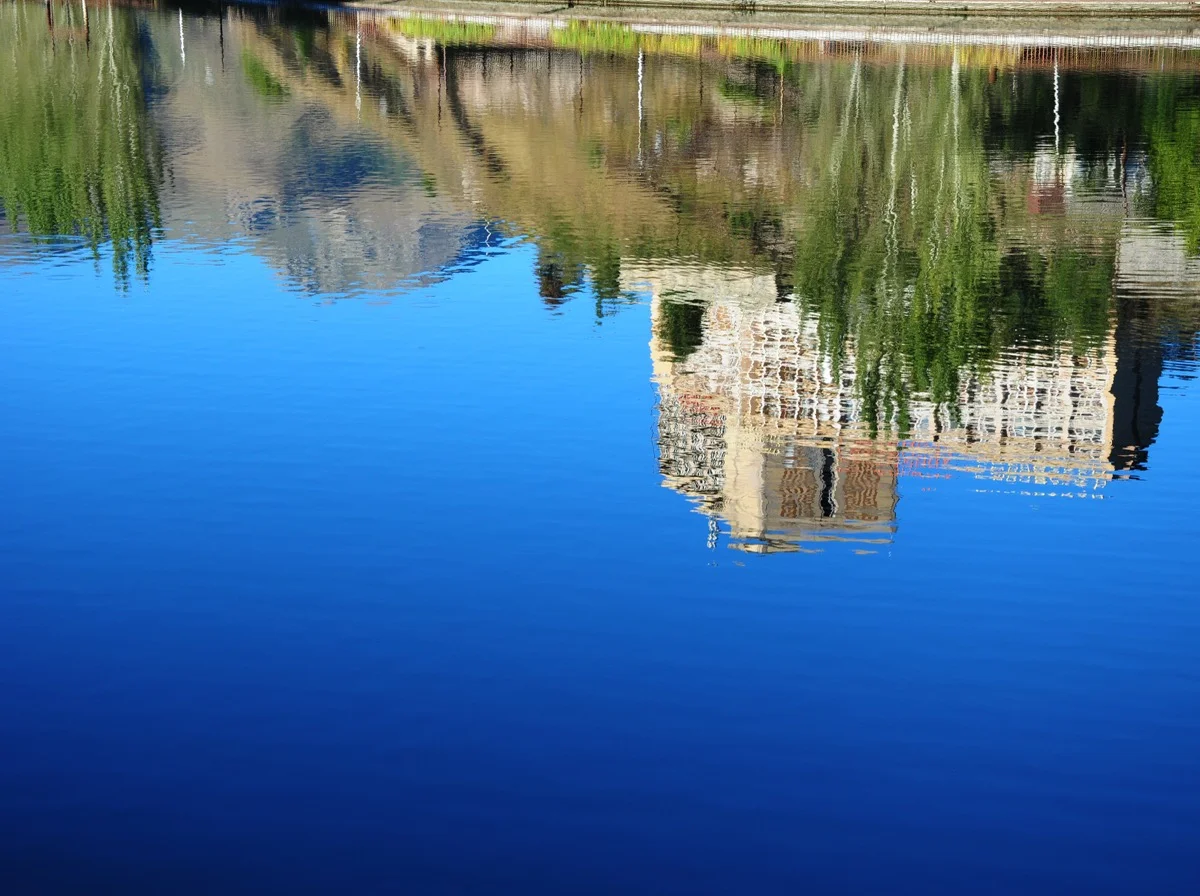 Career Gaslighting: When Leaders Convince Themselves Everything Is Fine