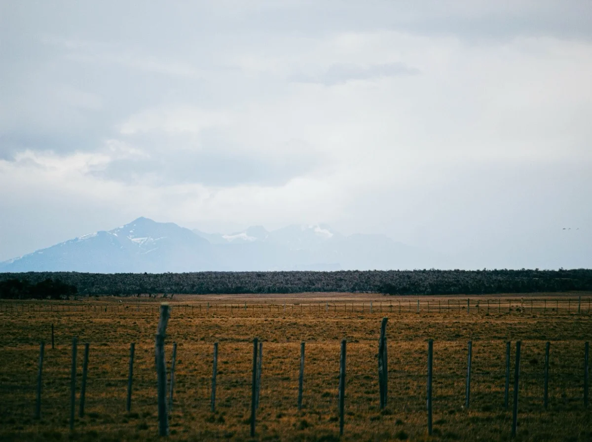 The Boundary Imperative: Why Executive Success Requires Ruthless Prioritization