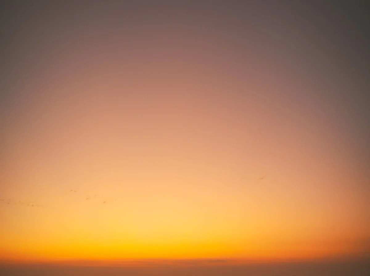 Resilience Architecture: How Leaders Rebuild After Significant Setbacks