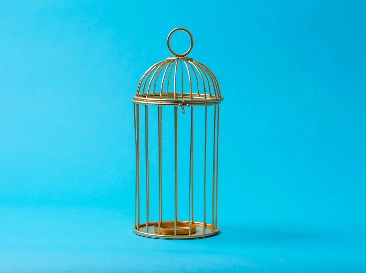 The Success Paradox: Why Achieving Everything Can Leave You With Nothing