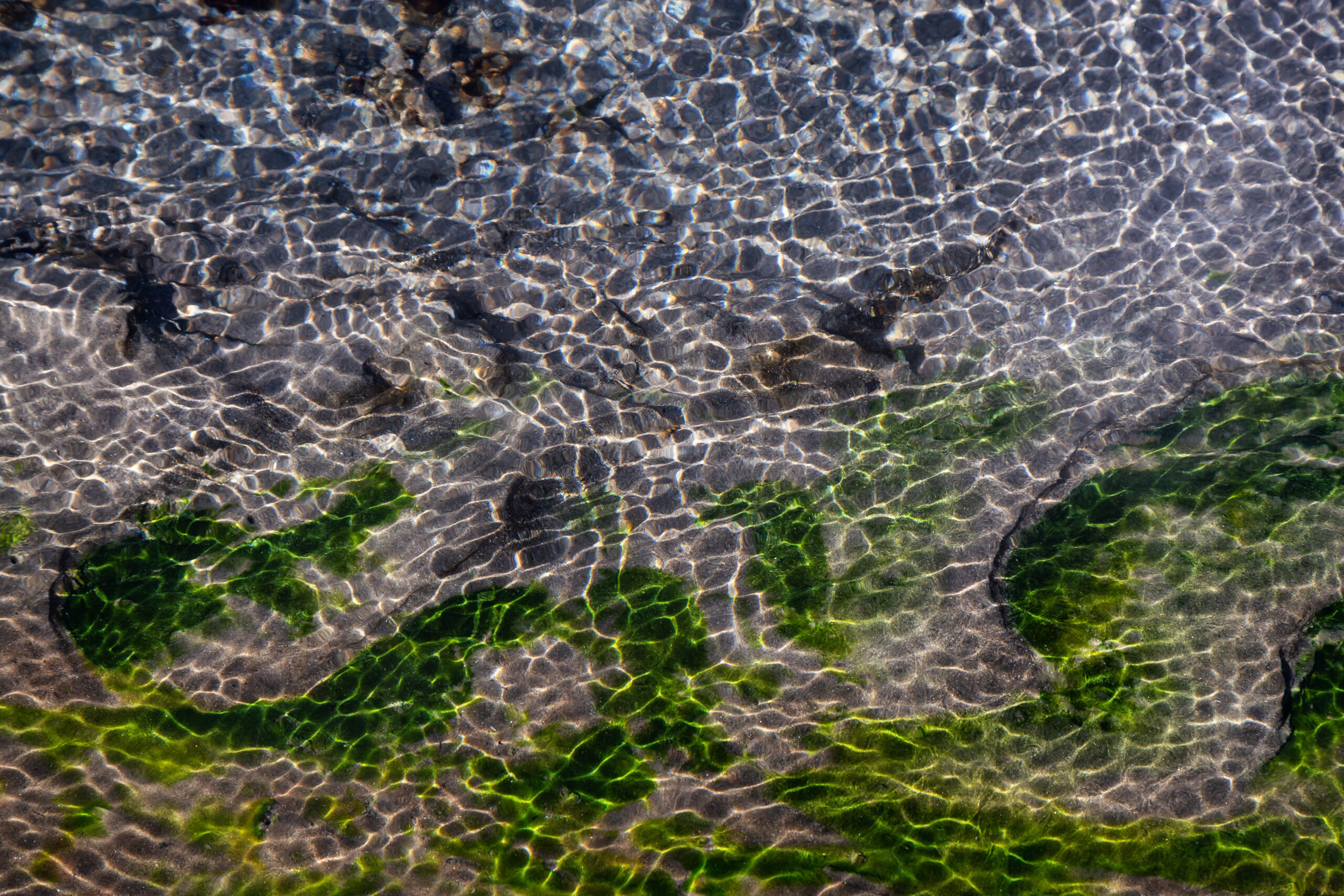 Why Emergency Water Extraction Saves More Than Just Your Carpet