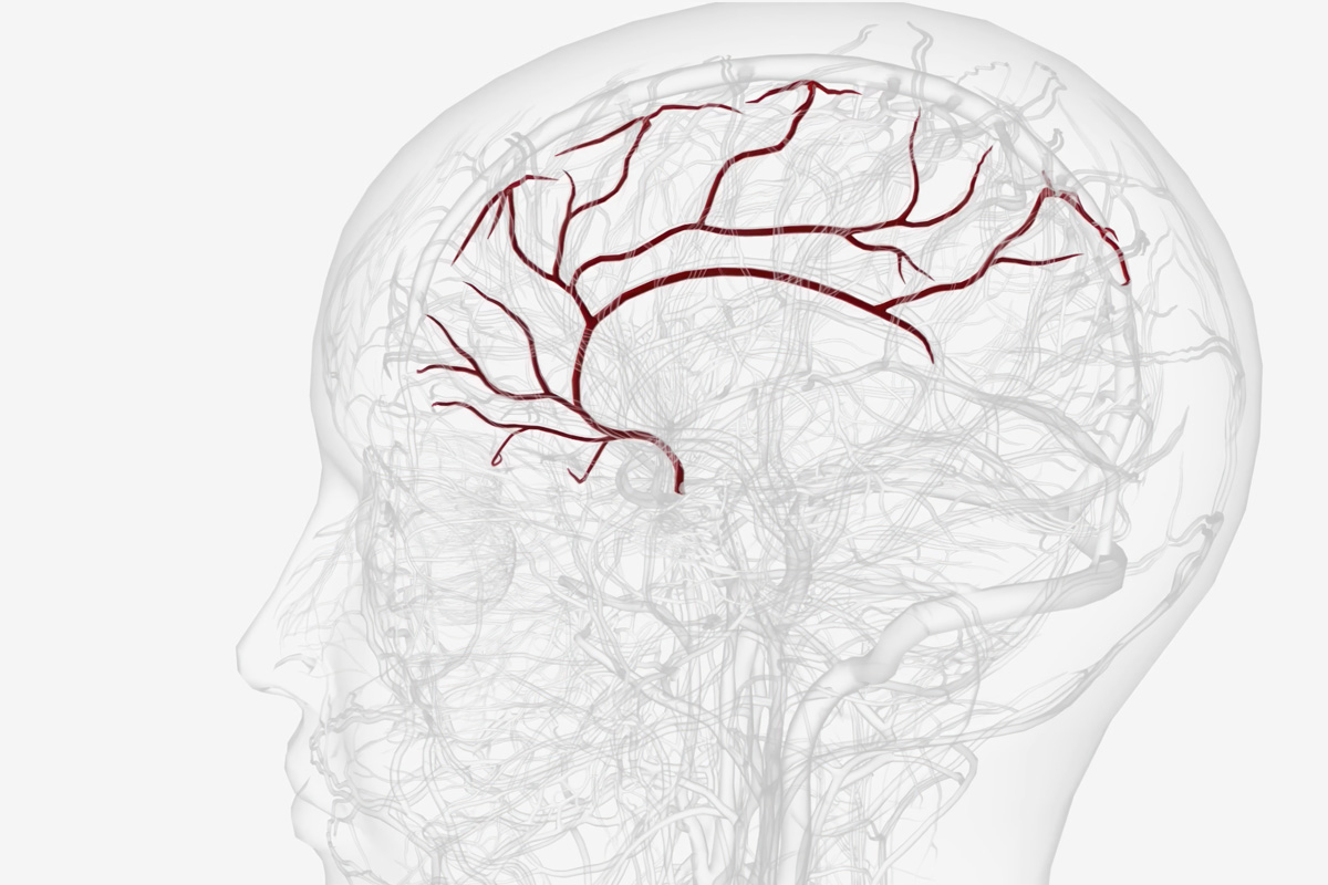 From Skeptic to Practitioner: The Journey Into NLP Coaching